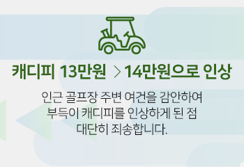 캐디피